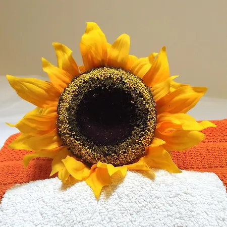 Daire Lavra Tram Lisboa