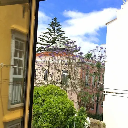 Apartamento Lavra Tram