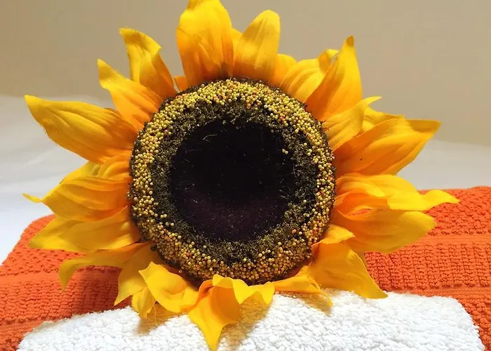 公寓 Lavra Tram Lisboa