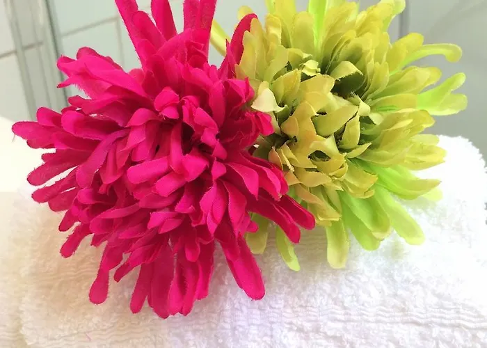 Διαμέρισμα Lavra Tram